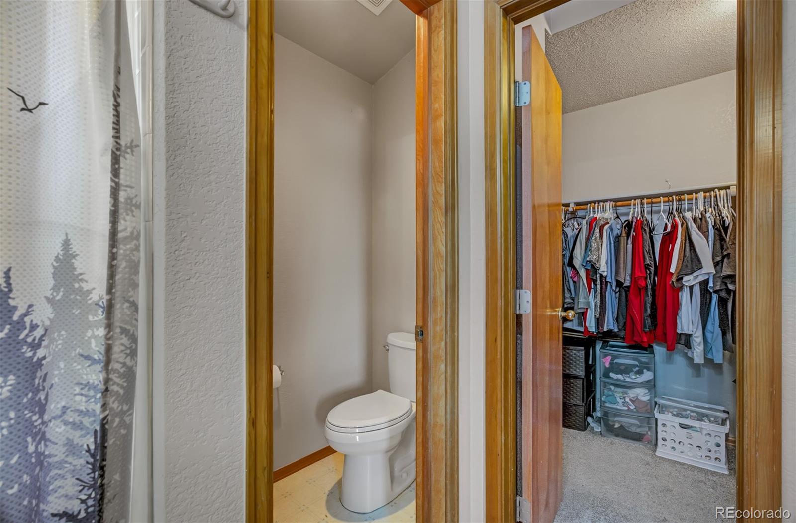 MLS Image #14 for 623  high tea court,fountain, Colorado
