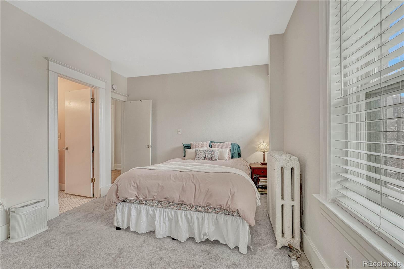 MLS Image #21 for 1100 n marion street,denver, Colorado