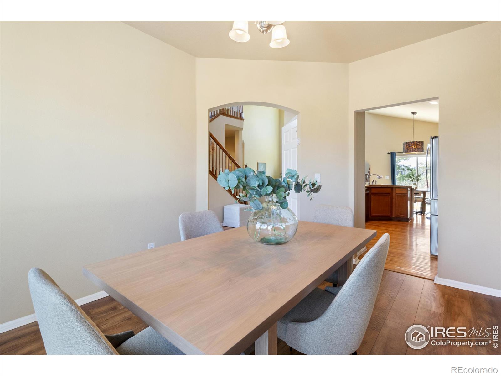 MLS Image #9 for 5989  sand cherry lane,timnath, Colorado