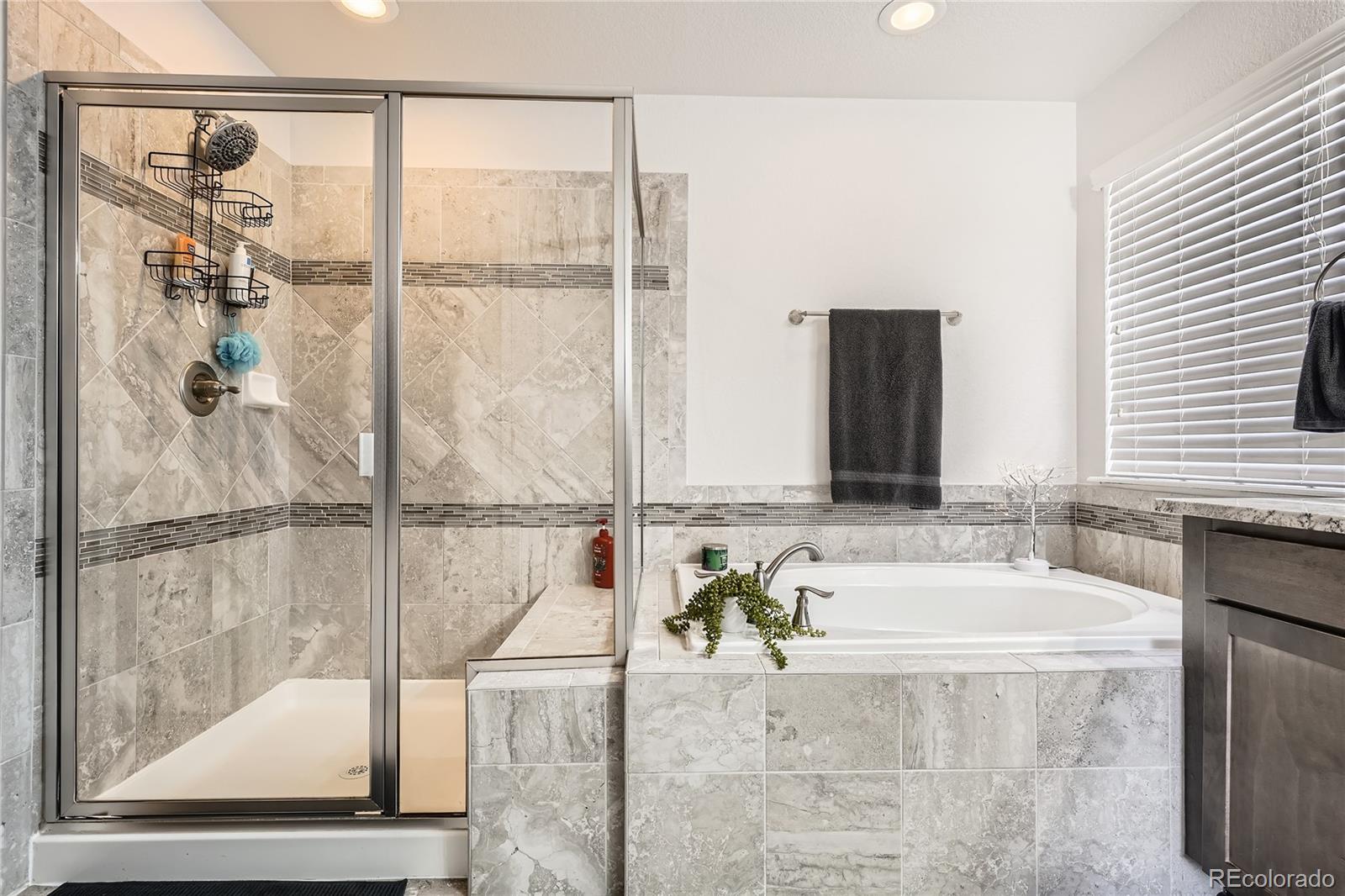 MLS Image #15 for 7258  oasis drive,castle rock, Colorado