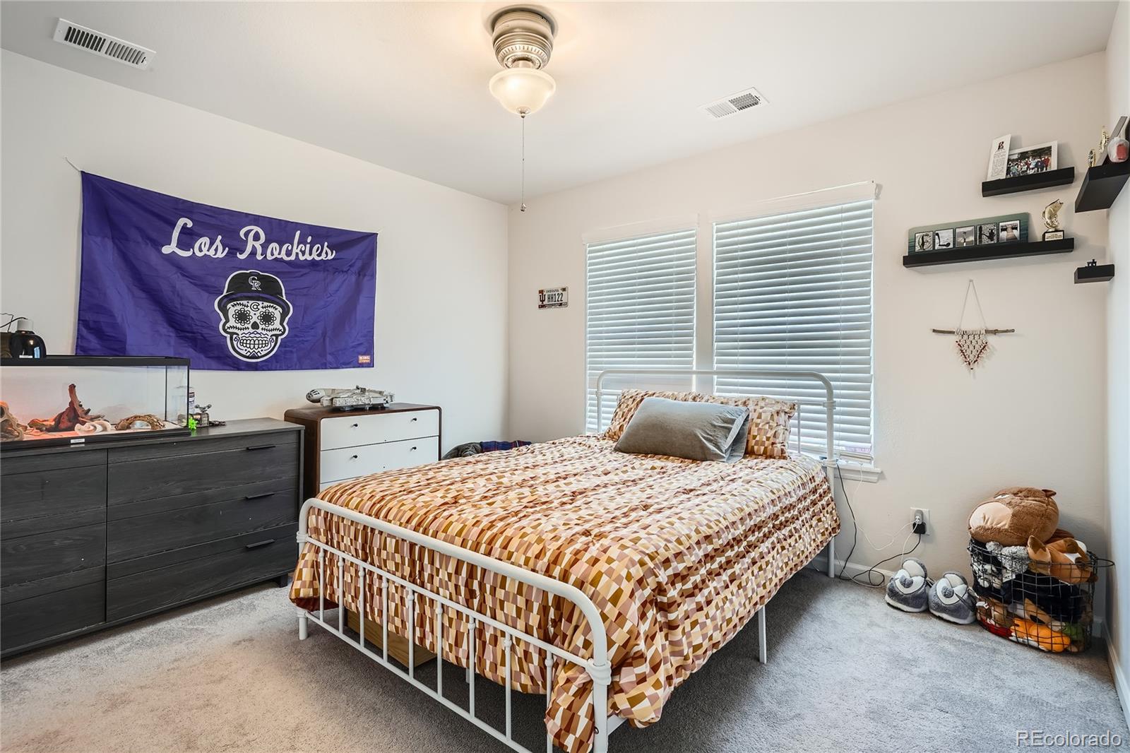 MLS Image #16 for 7258  oasis drive,castle rock, Colorado