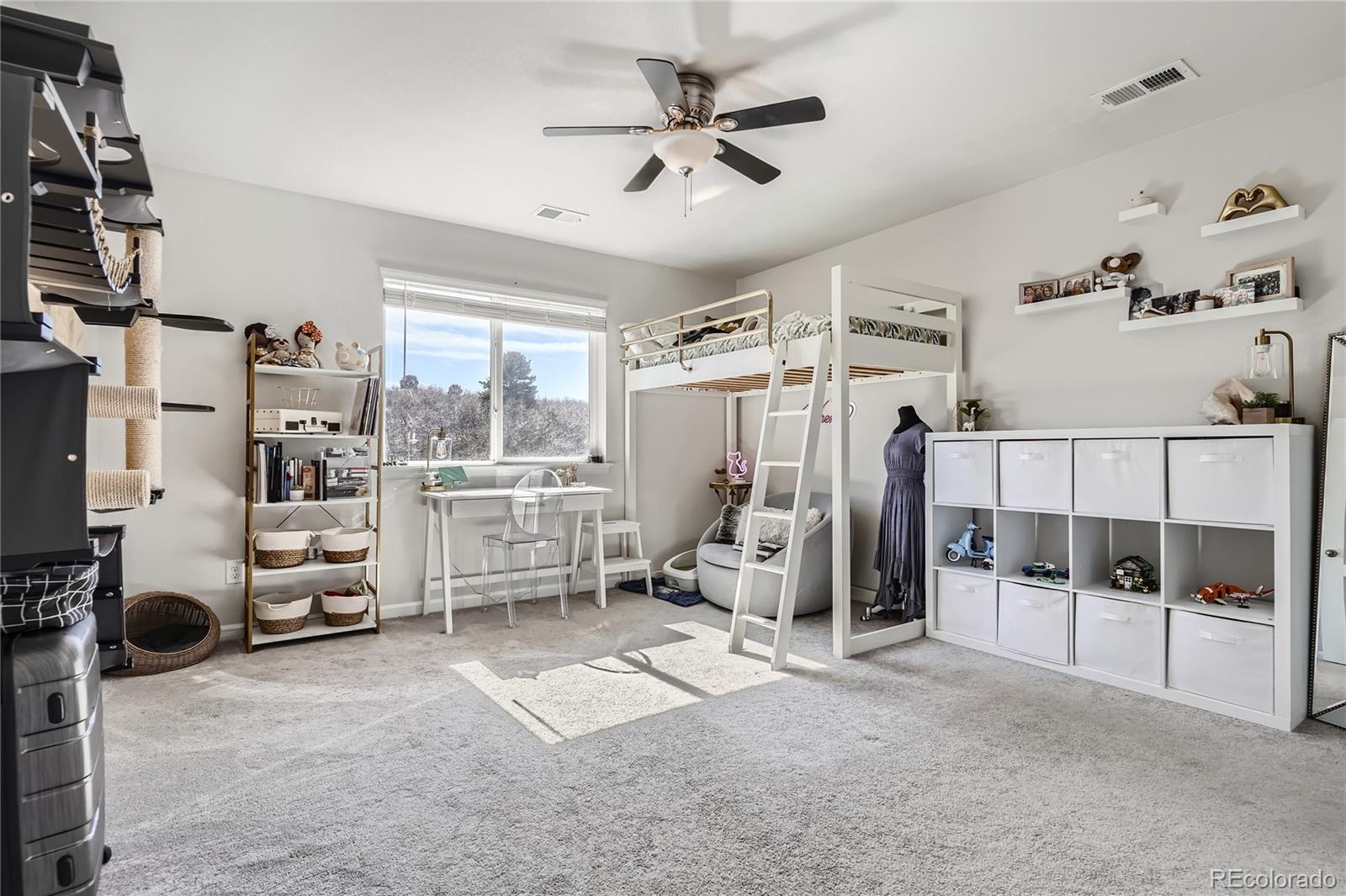 MLS Image #19 for 7258  oasis drive,castle rock, Colorado