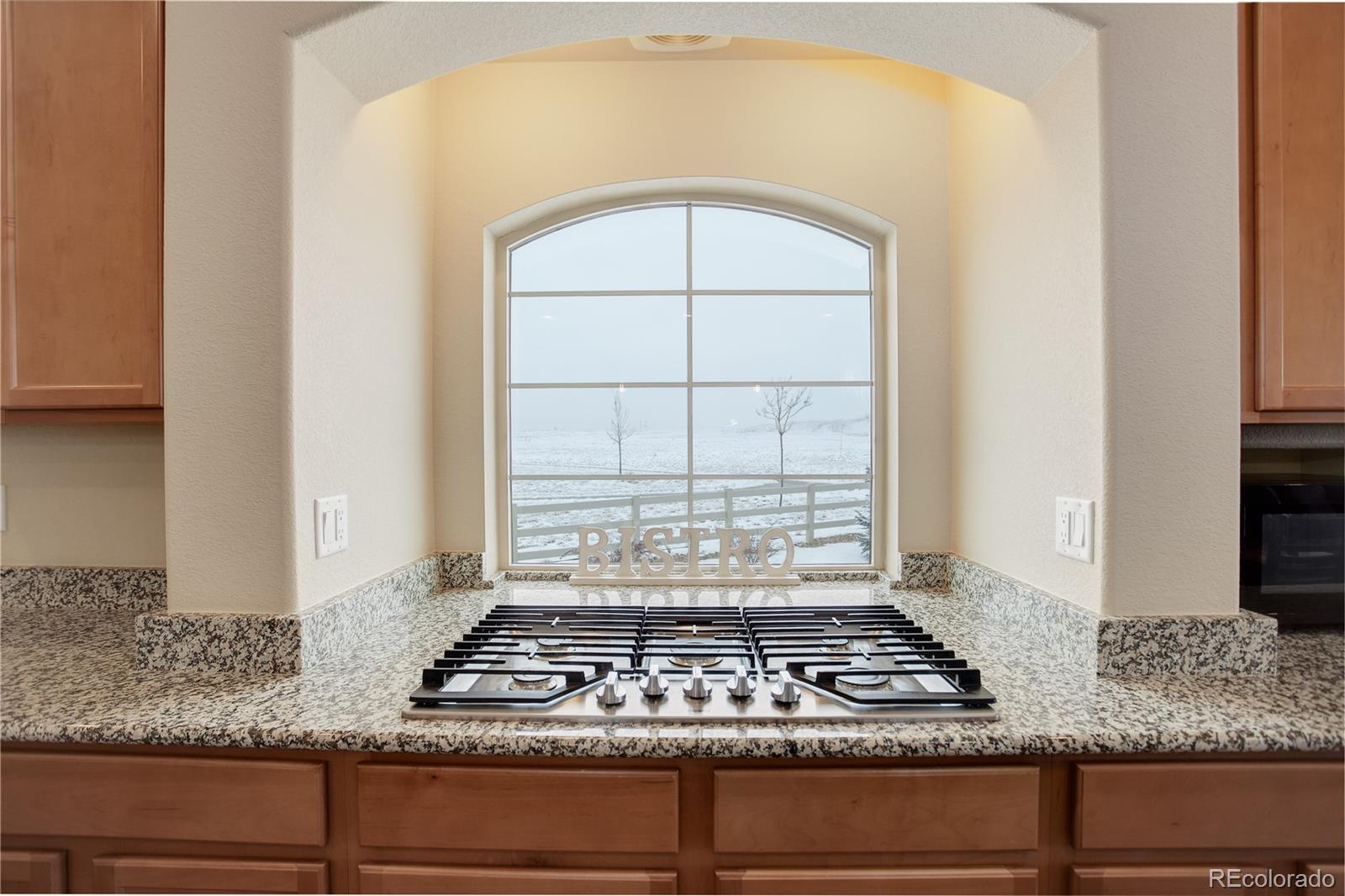 MLS Image #3 for 1060  arrowhead court,erie, Colorado