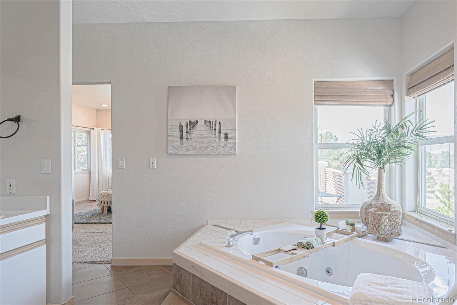 MLS Image #6 for 18155  flowered meadow lane,monument, Colorado