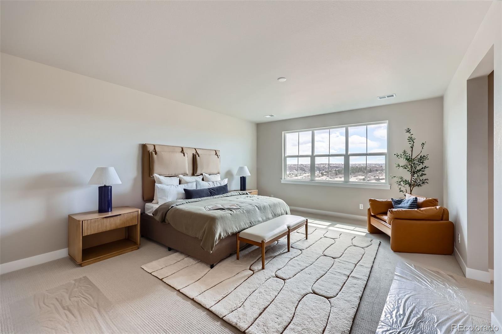 MLS Image #13 for 3630  backslope lane,castle rock, Colorado