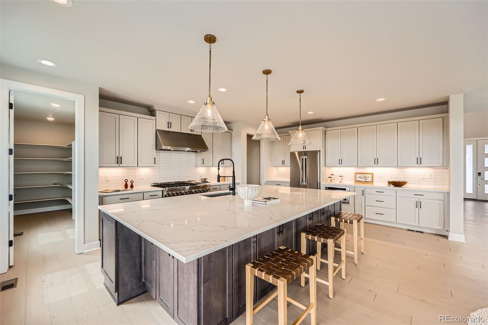 MLS Image #8 for 3630  backslope lane,castle rock, Colorado