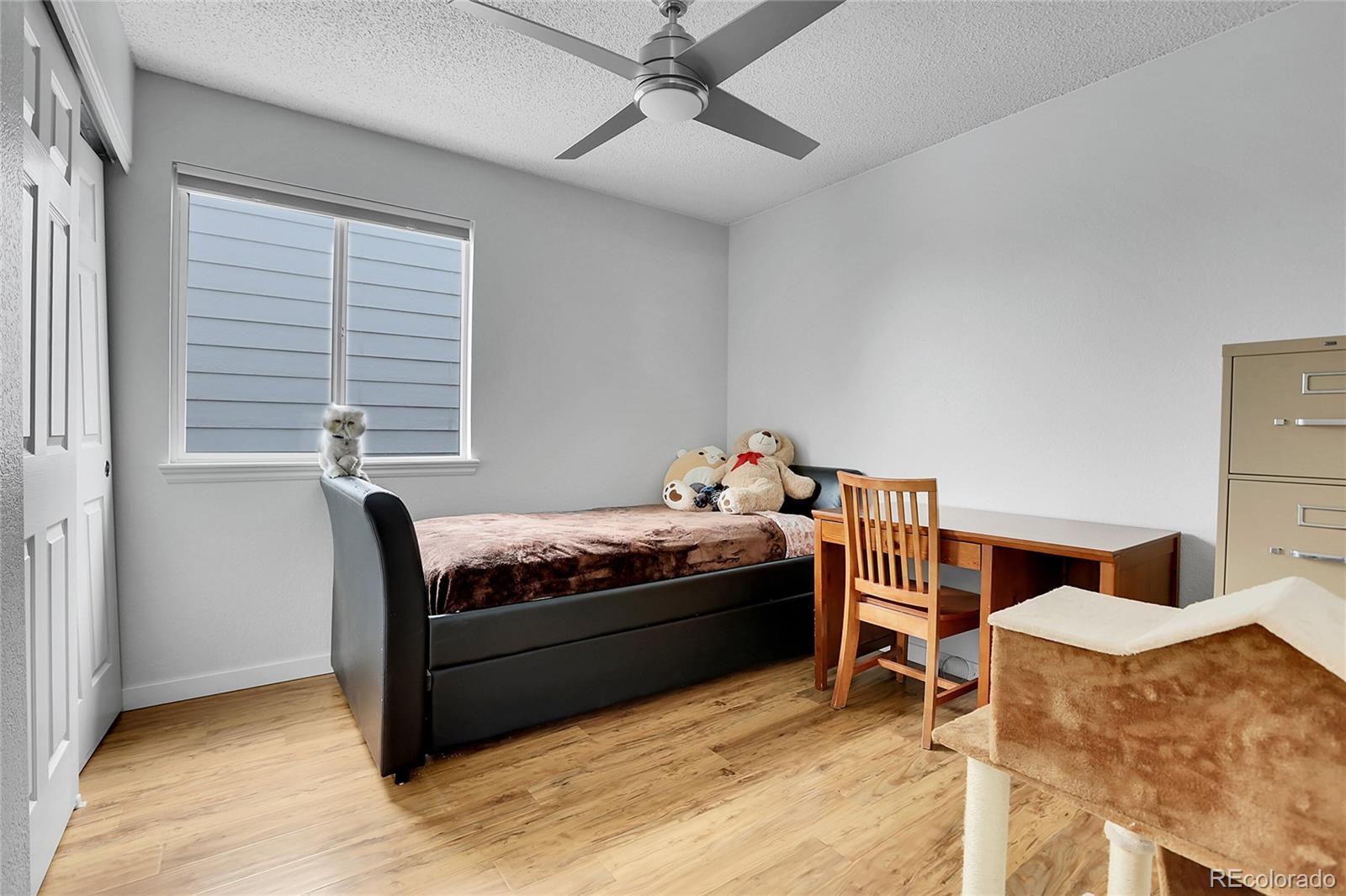 MLS Image #12 for 8754  snowbird way,parker, Colorado