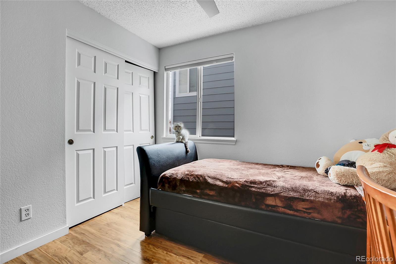 MLS Image #13 for 8754  snowbird way,parker, Colorado