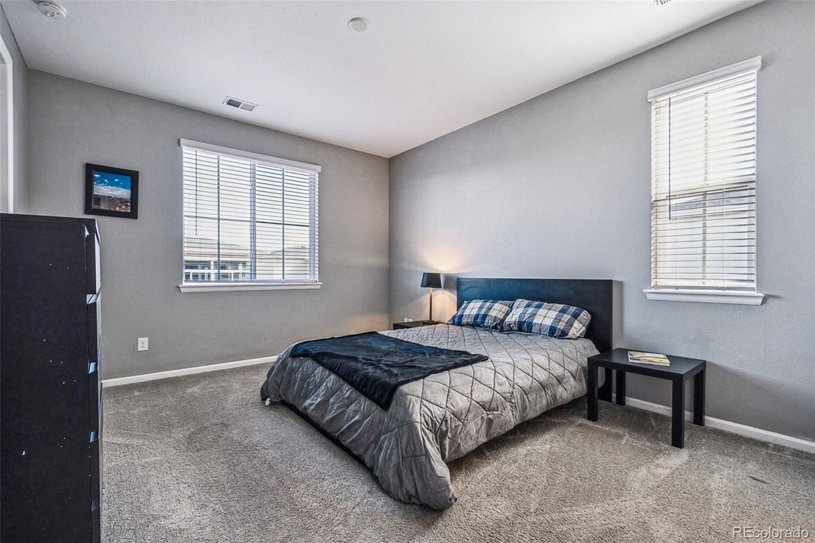 MLS Image #12 for 4128  castle vista lane,castle rock, Colorado