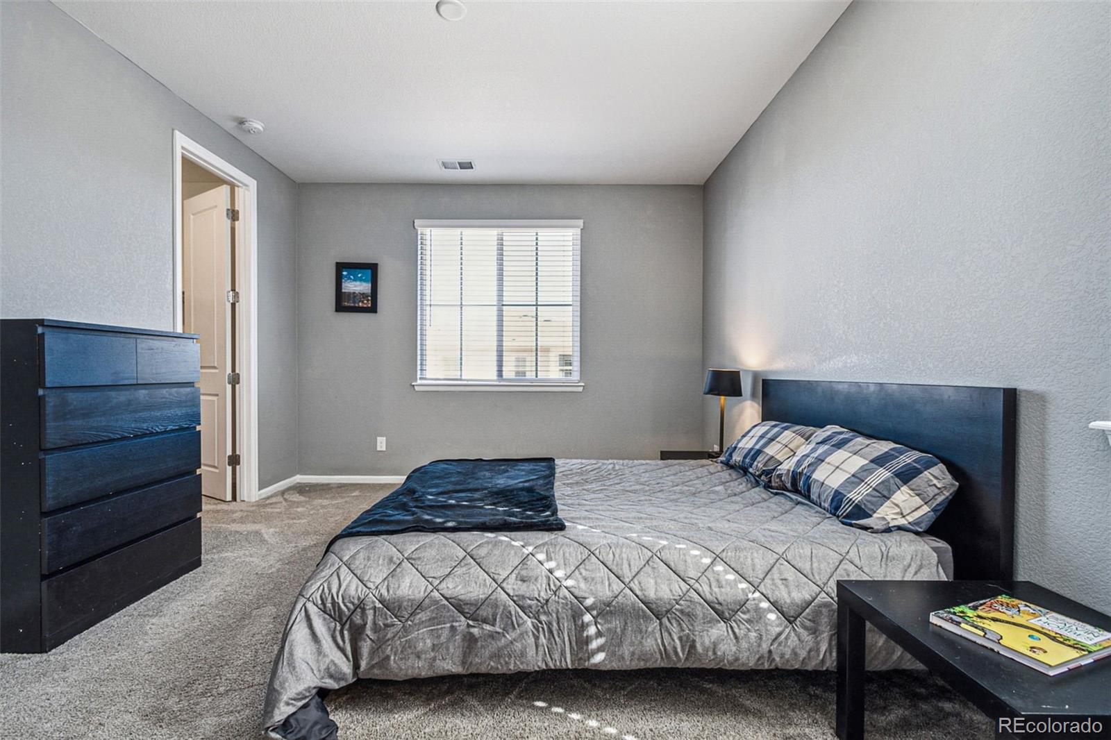 MLS Image #13 for 4128  castle vista lane,castle rock, Colorado