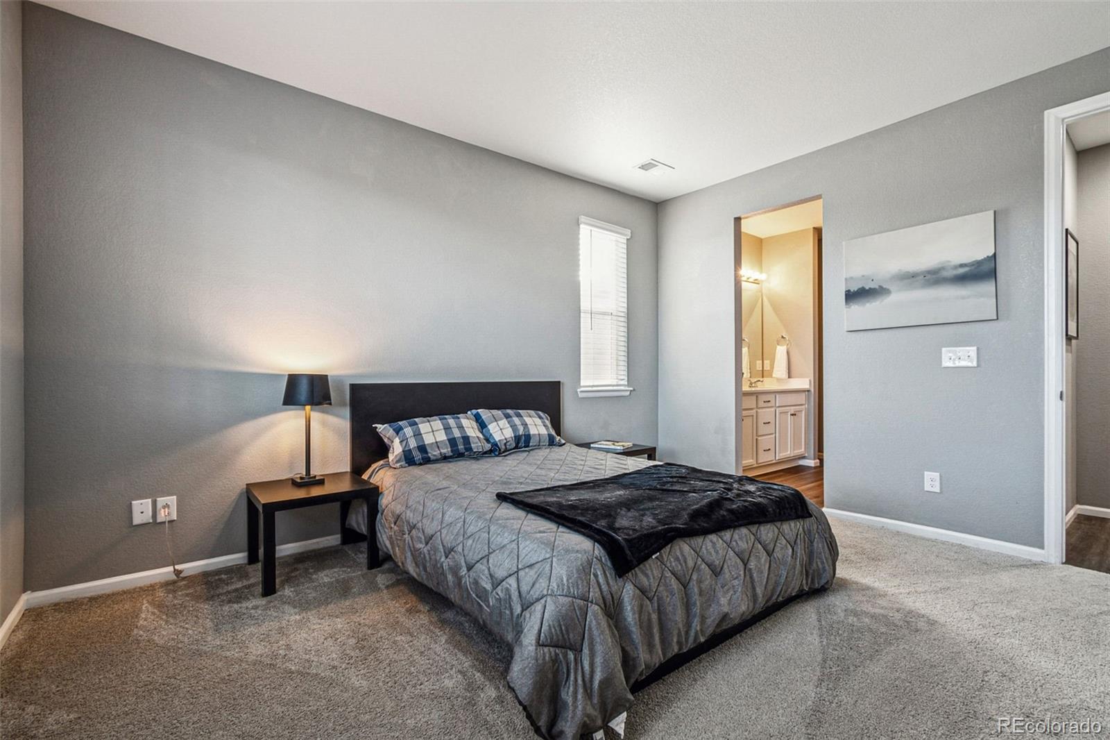MLS Image #14 for 4128  castle vista lane,castle rock, Colorado