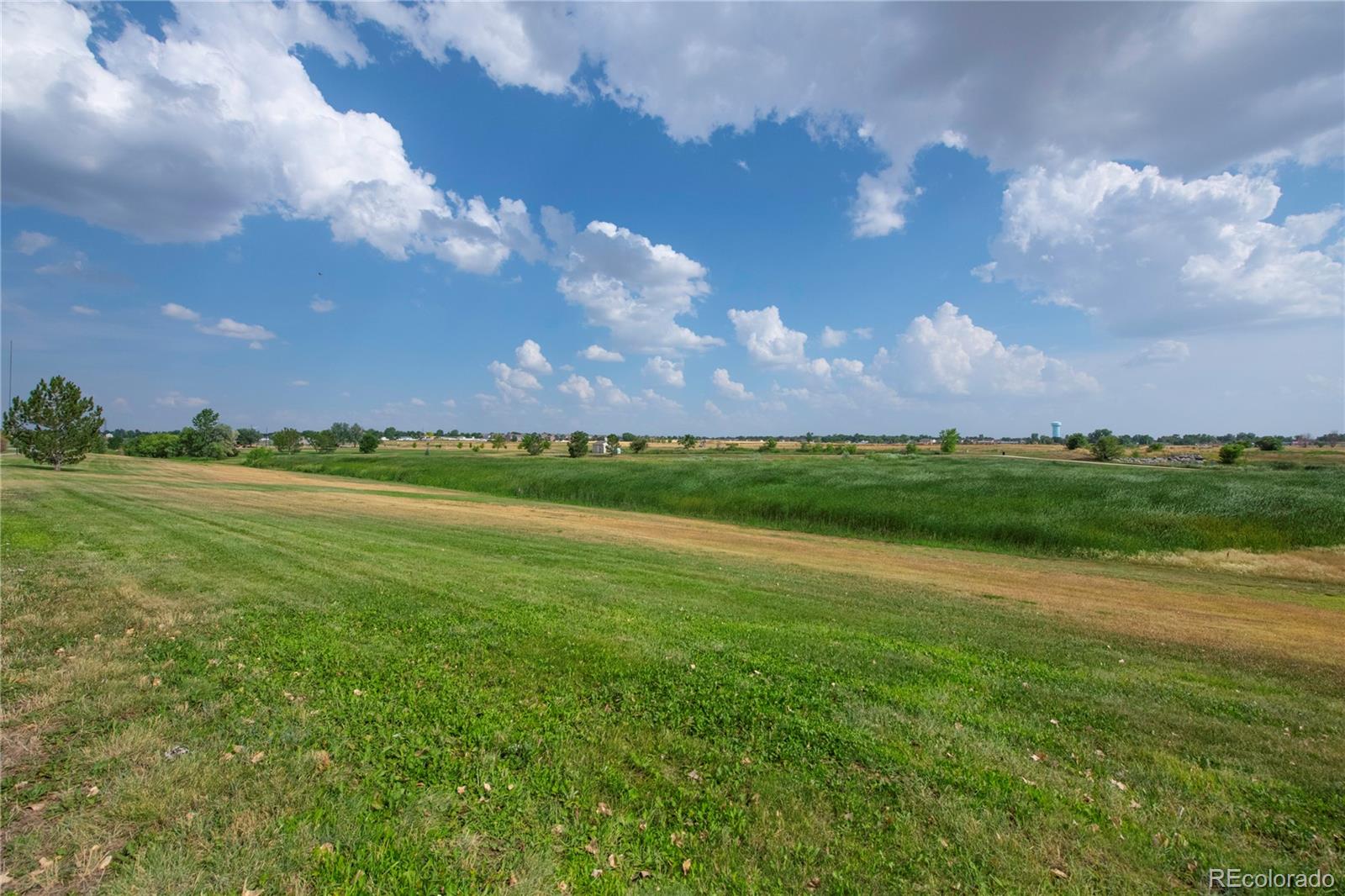 MLS Image #32 for 711  elm street,frederick, Colorado