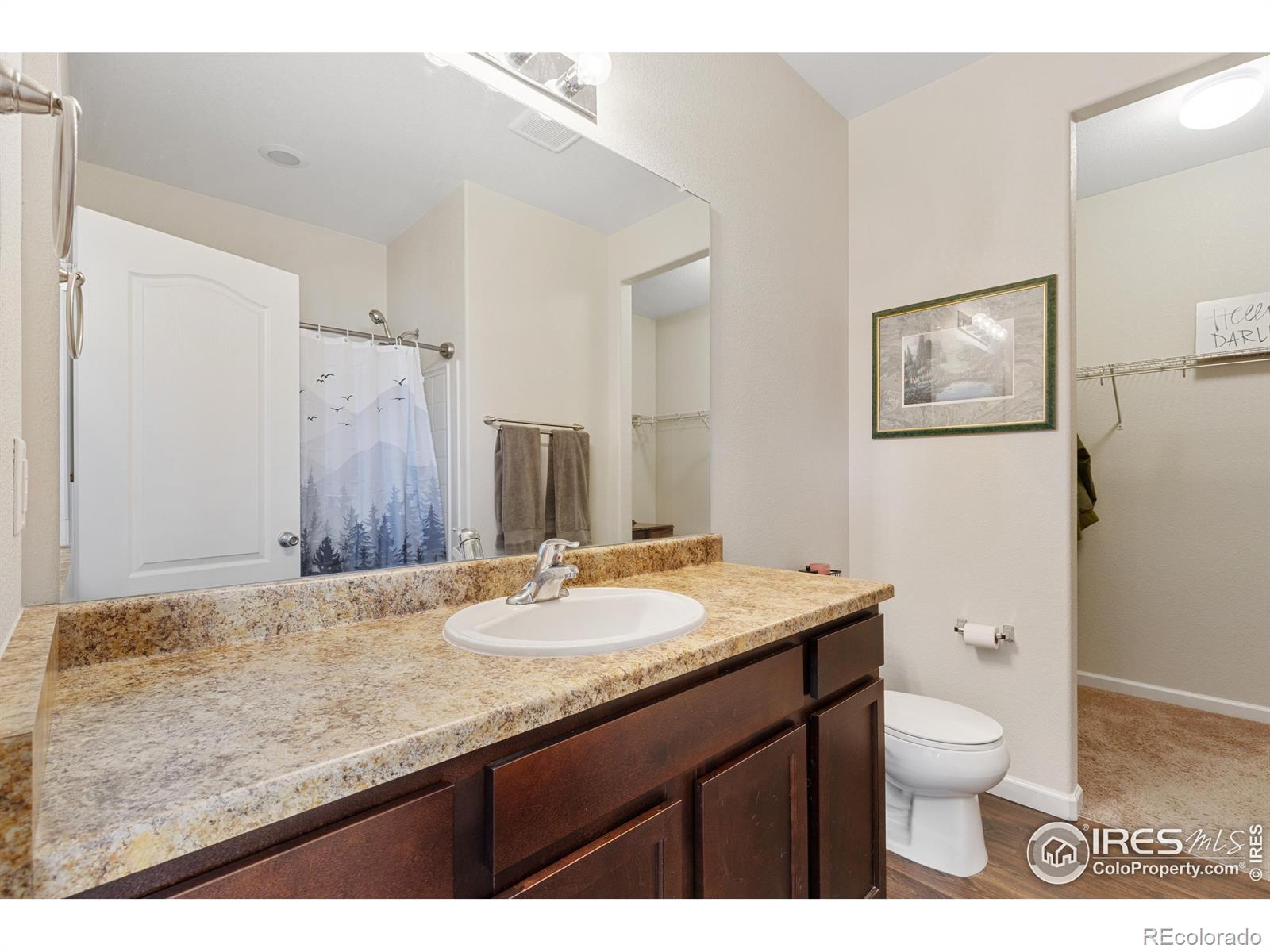 MLS Image #22 for 2912  urban place,berthoud, Colorado