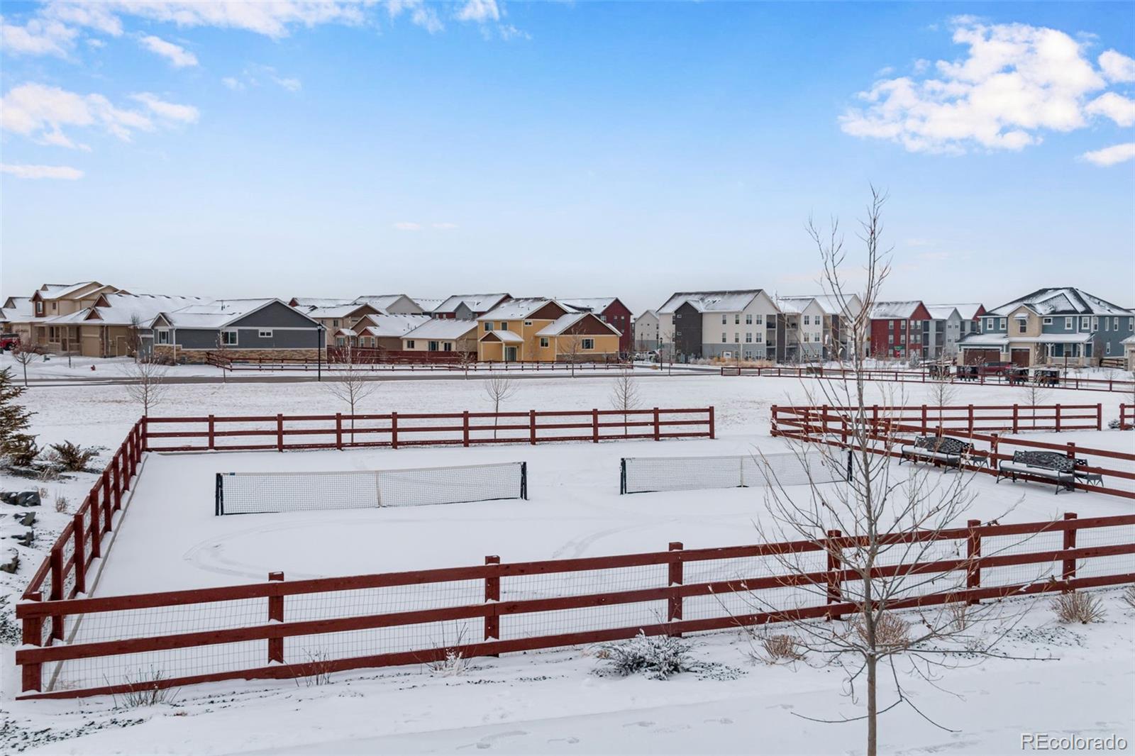 MLS Image #45 for 1895  golden horizon drive,windsor, Colorado