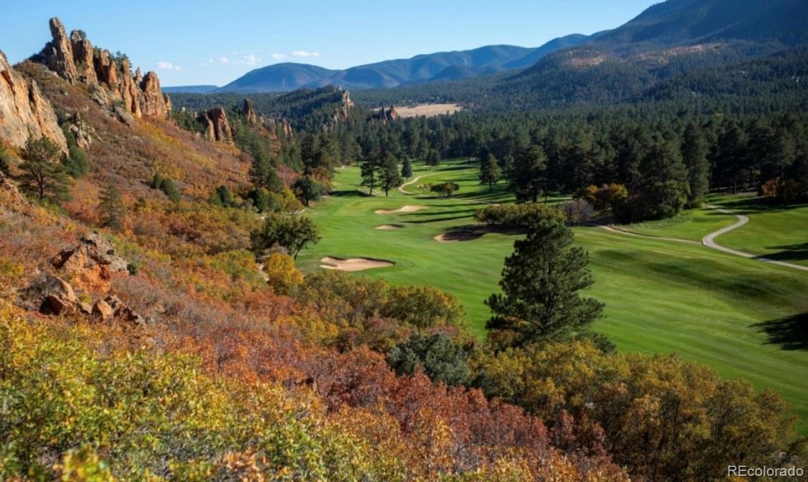 MLS Image #39 for 4502  echo cliff lane,larkspur, Colorado