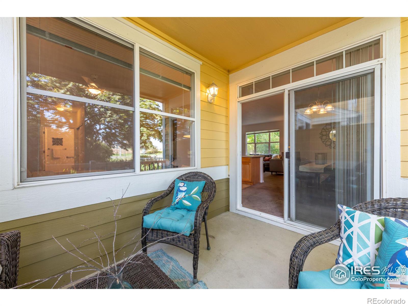 MLS Image #16 for 635  gooseberry drive,longmont, Colorado
