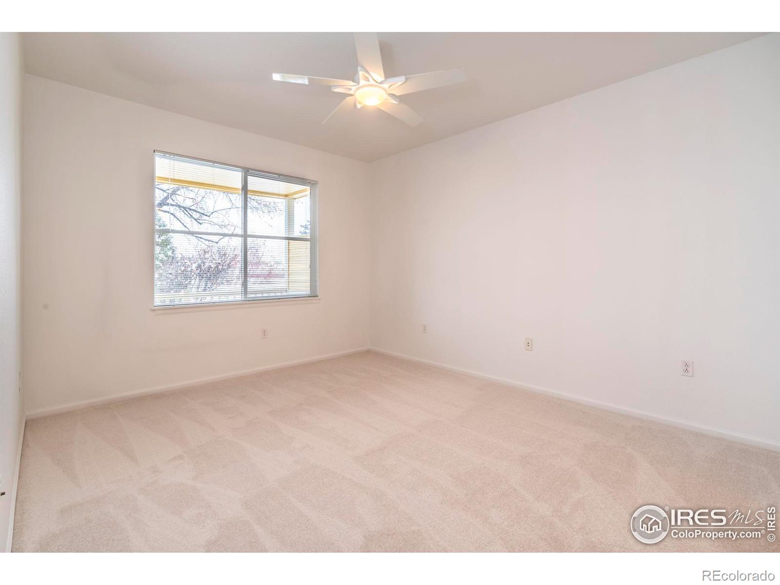 MLS Image #23 for 635  gooseberry drive,longmont, Colorado