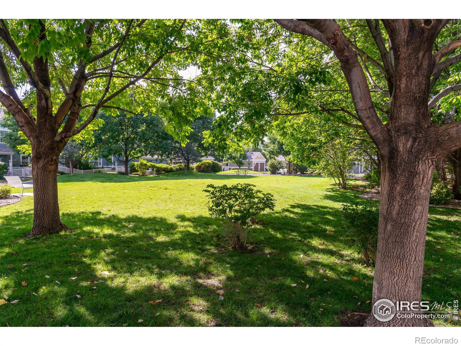 MLS Image #33 for 635  gooseberry drive,longmont, Colorado