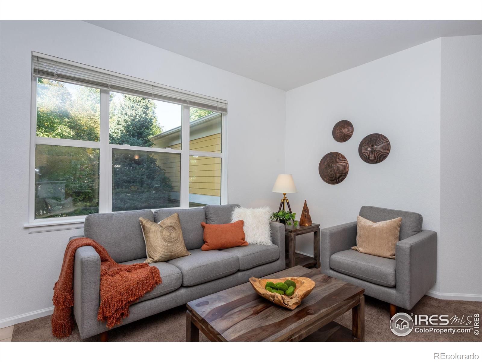 MLS Image #8 for 635  gooseberry drive,longmont, Colorado