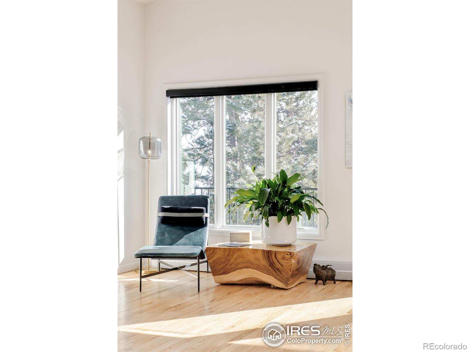 MLS Image #5 for 412  wild horse circle,boulder, Colorado