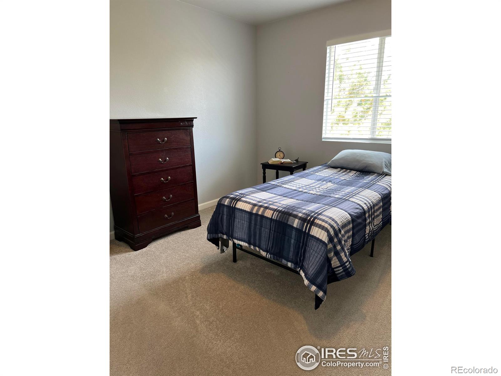 MLS Image #19 for 715  2nd street,windsor, Colorado