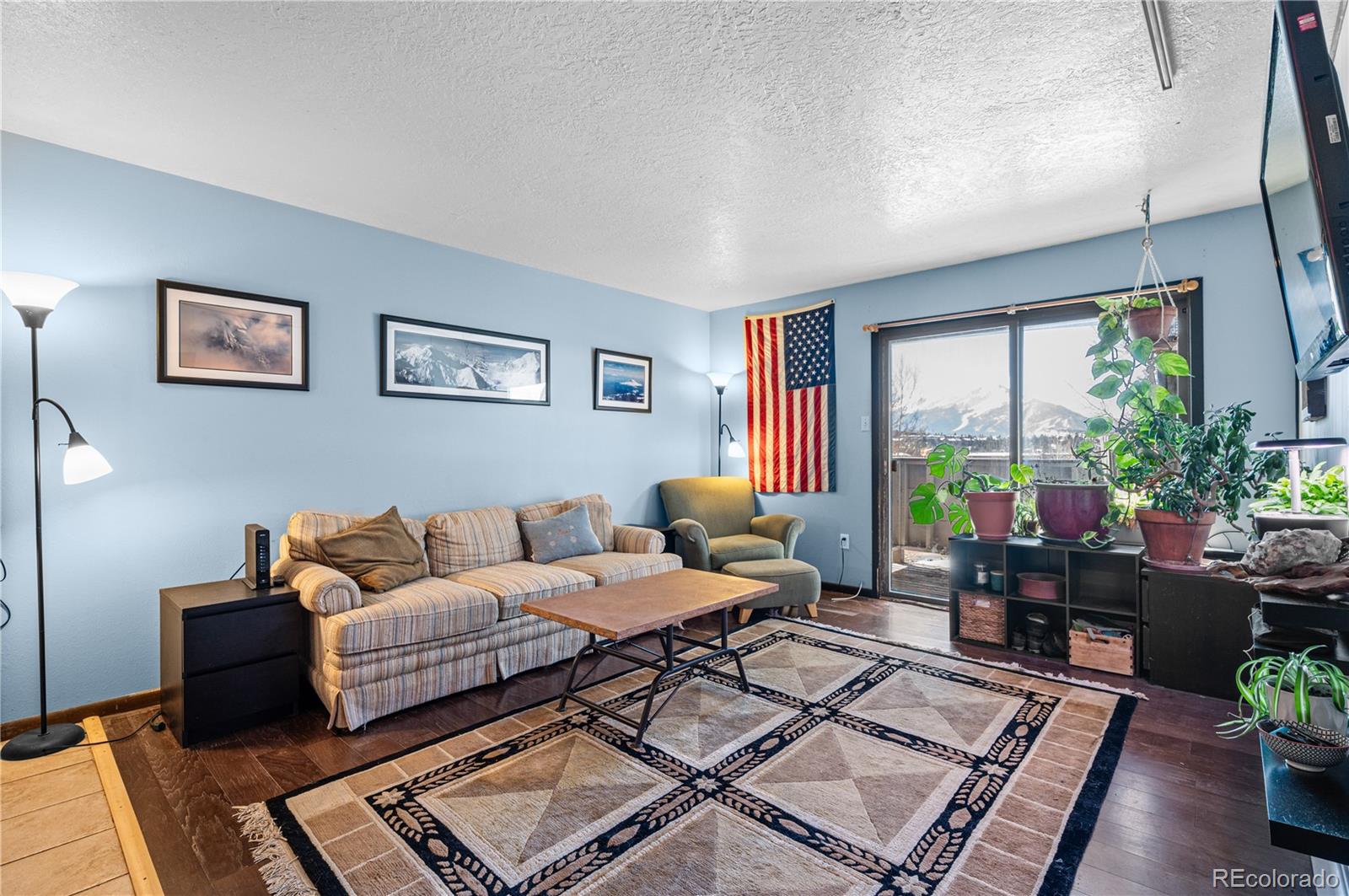 MLS Image #1 for 505  straight creek drive,dillon, Colorado