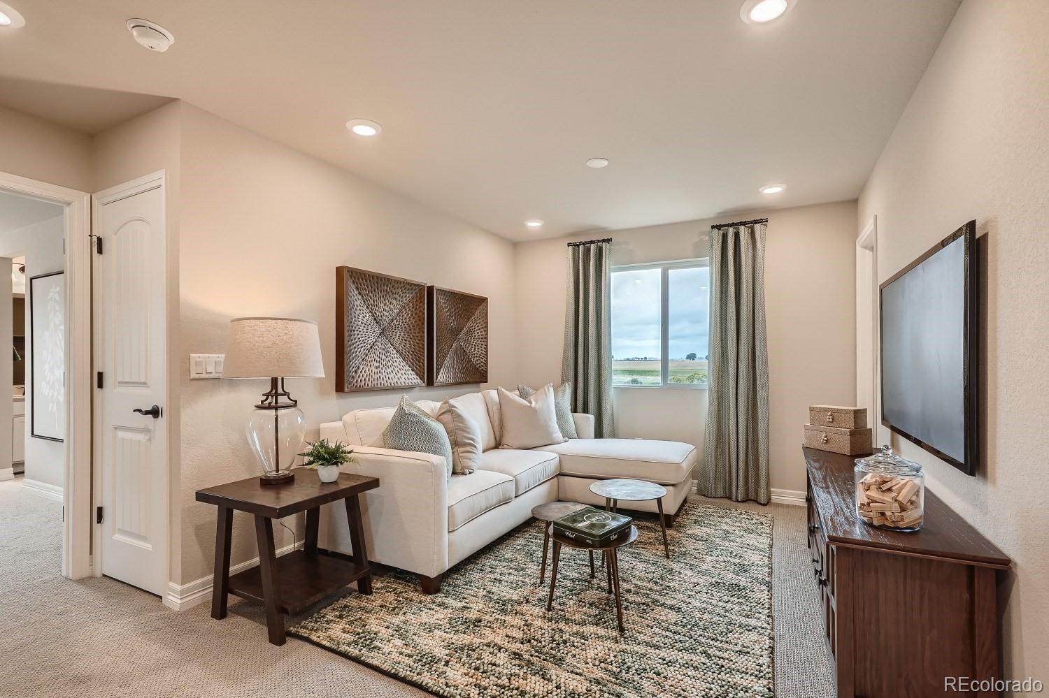 MLS Image #20 for 12354 e 101st drive,commerce city, Colorado
