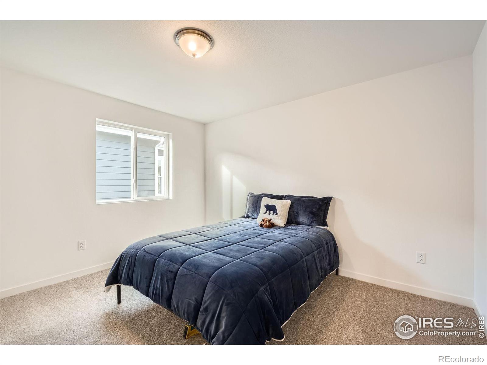MLS Image #19 for 2214  walbridge road,fort collins, Colorado
