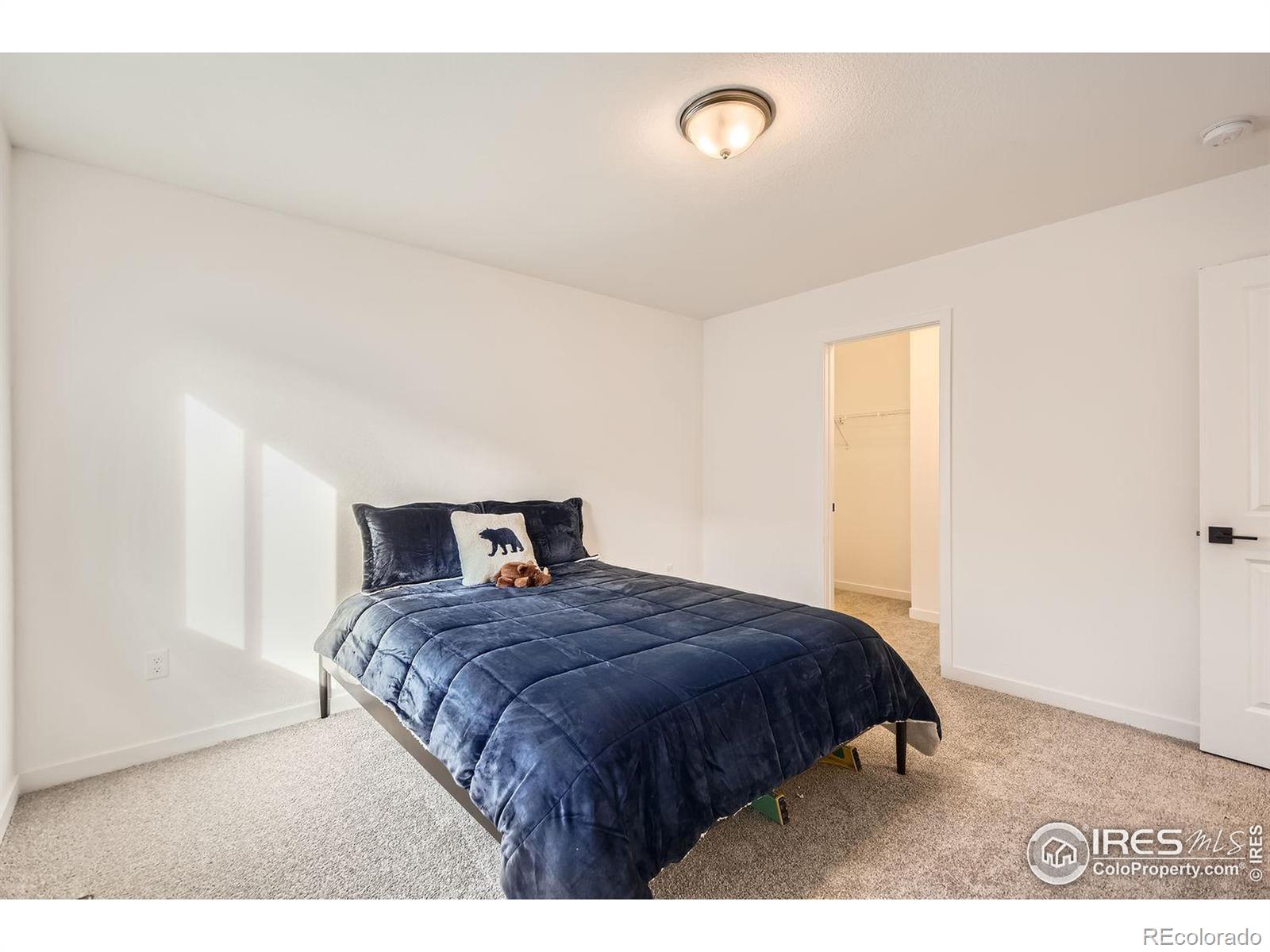 MLS Image #20 for 2214  walbridge road,fort collins, Colorado