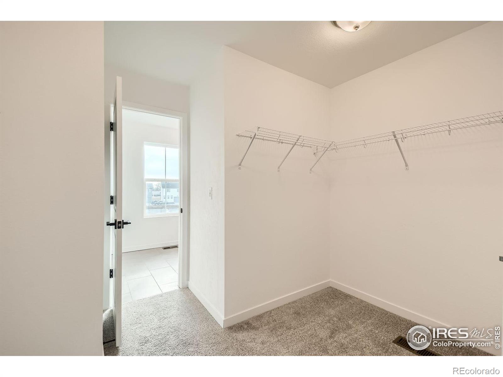 MLS Image #24 for 2214  walbridge road,fort collins, Colorado