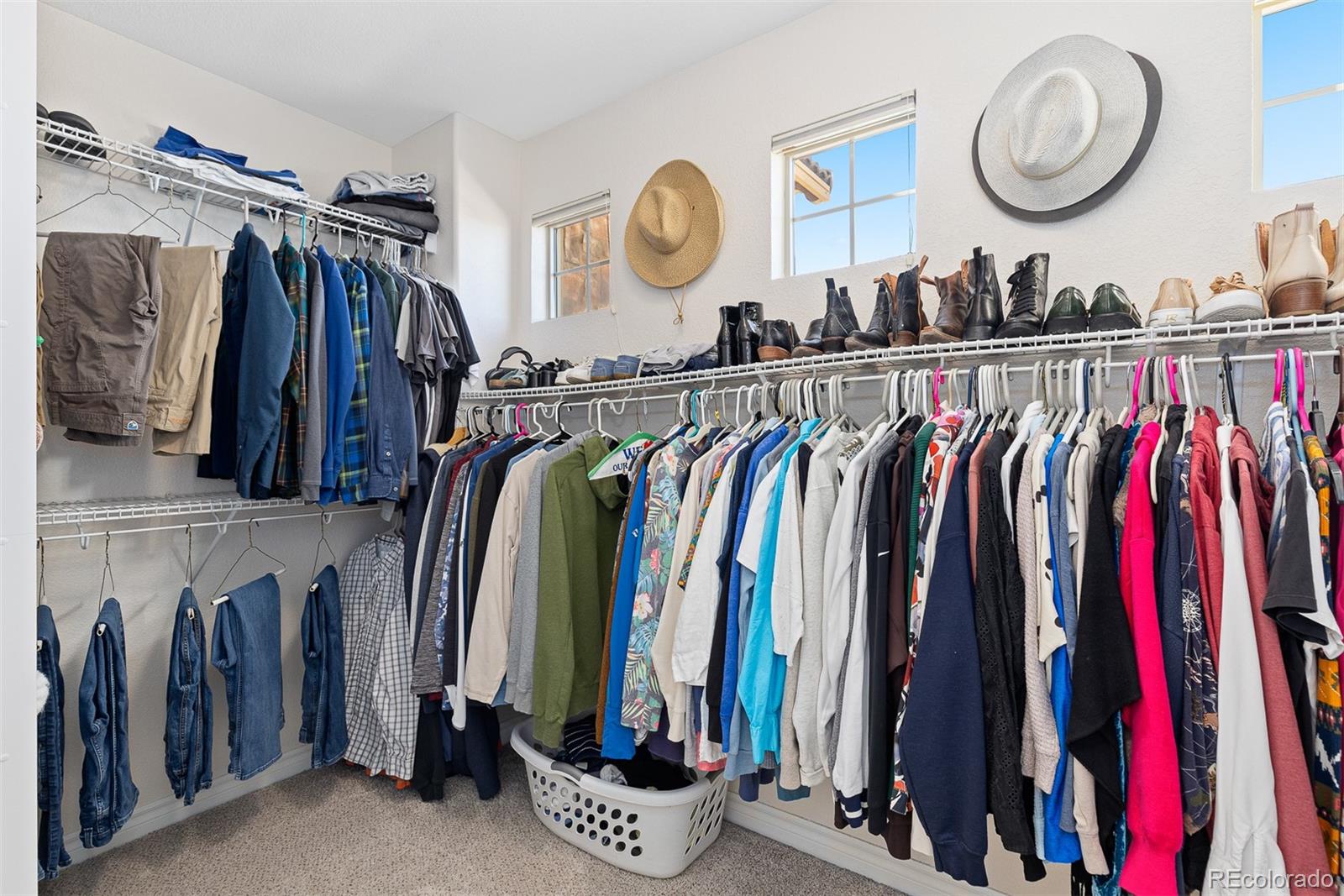 MLS Image #29 for 9340  sori lane,highlands ranch, Colorado