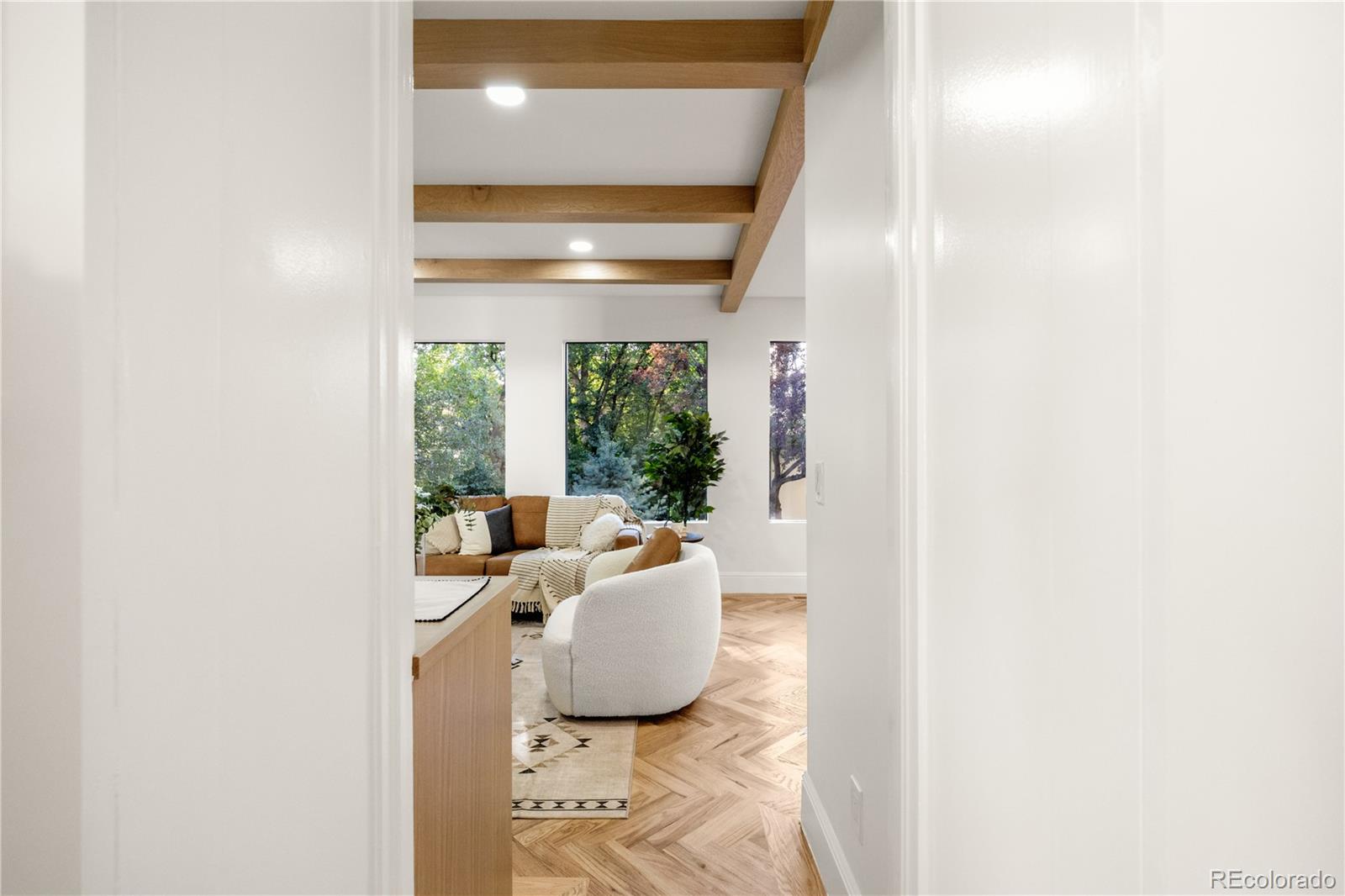 MLS Image #22 for 711  race street,denver, Colorado