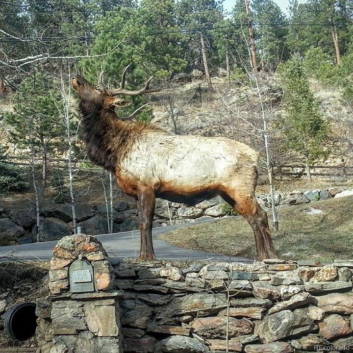 MLS Image #2 for 31455  upper bear creek road,evergreen, Colorado