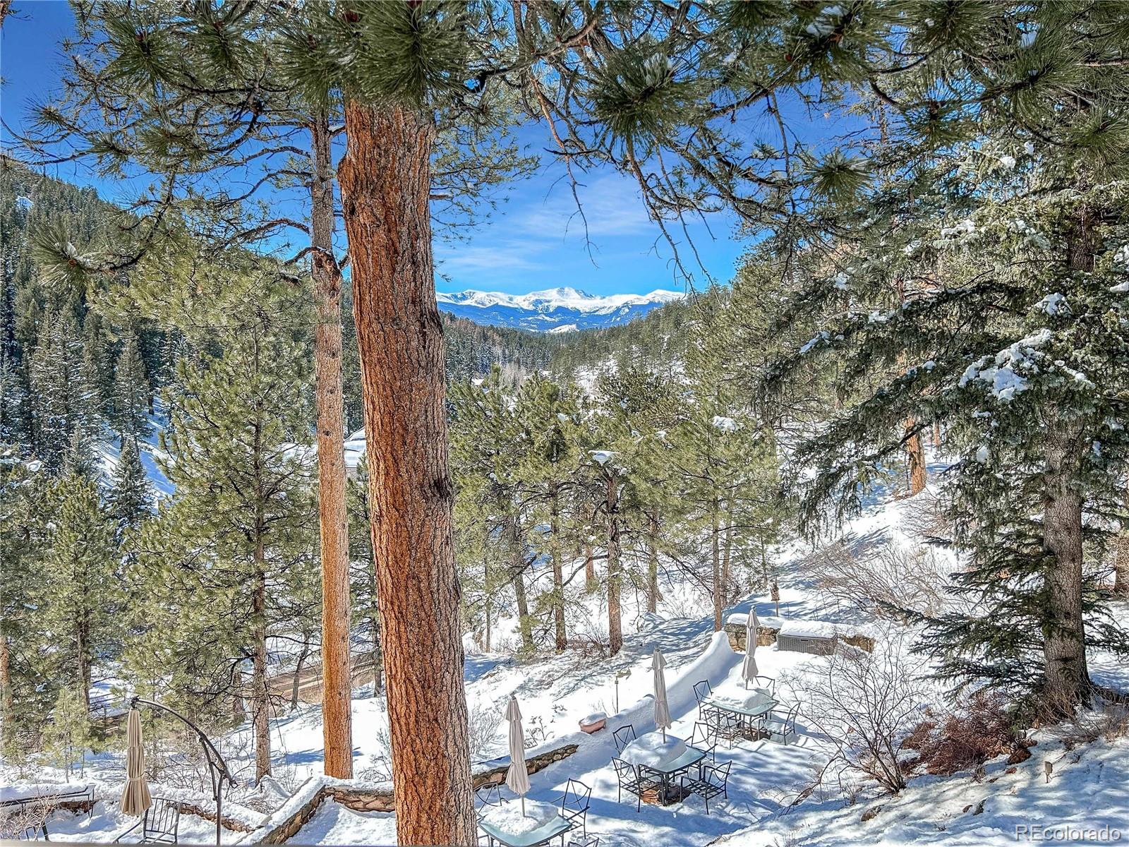 MLS Image #3 for 31455  upper bear creek road,evergreen, Colorado
