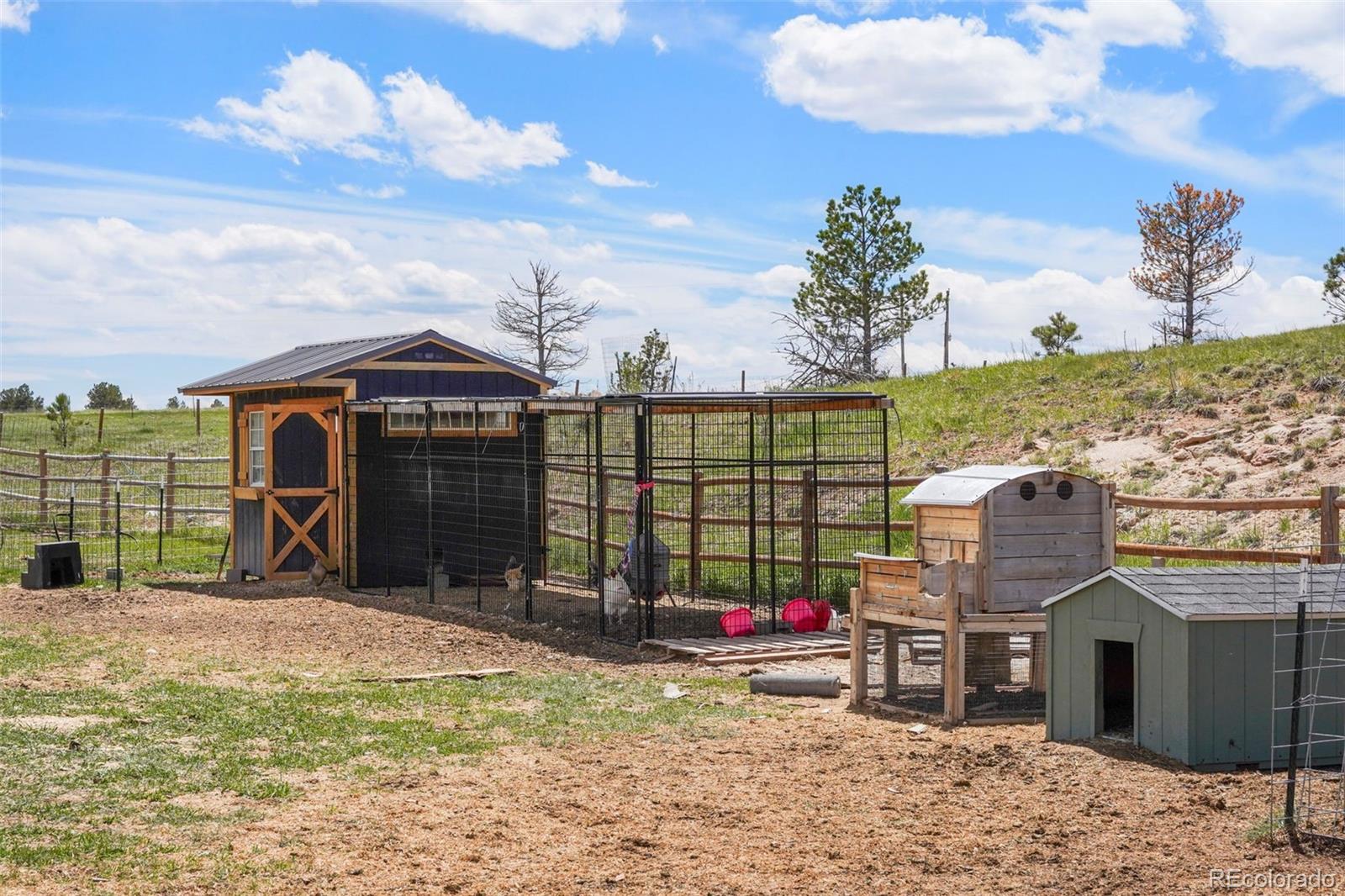 MLS Image #11 for 10951  big sky trail,elbert, Colorado