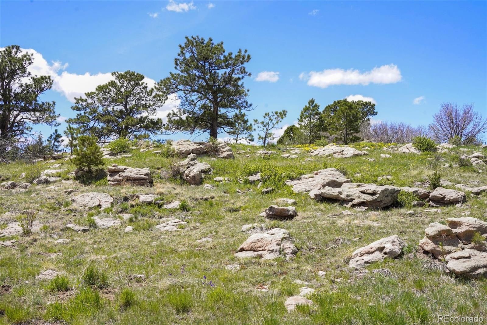 MLS Image #7 for 10951  big sky trail,elbert, Colorado