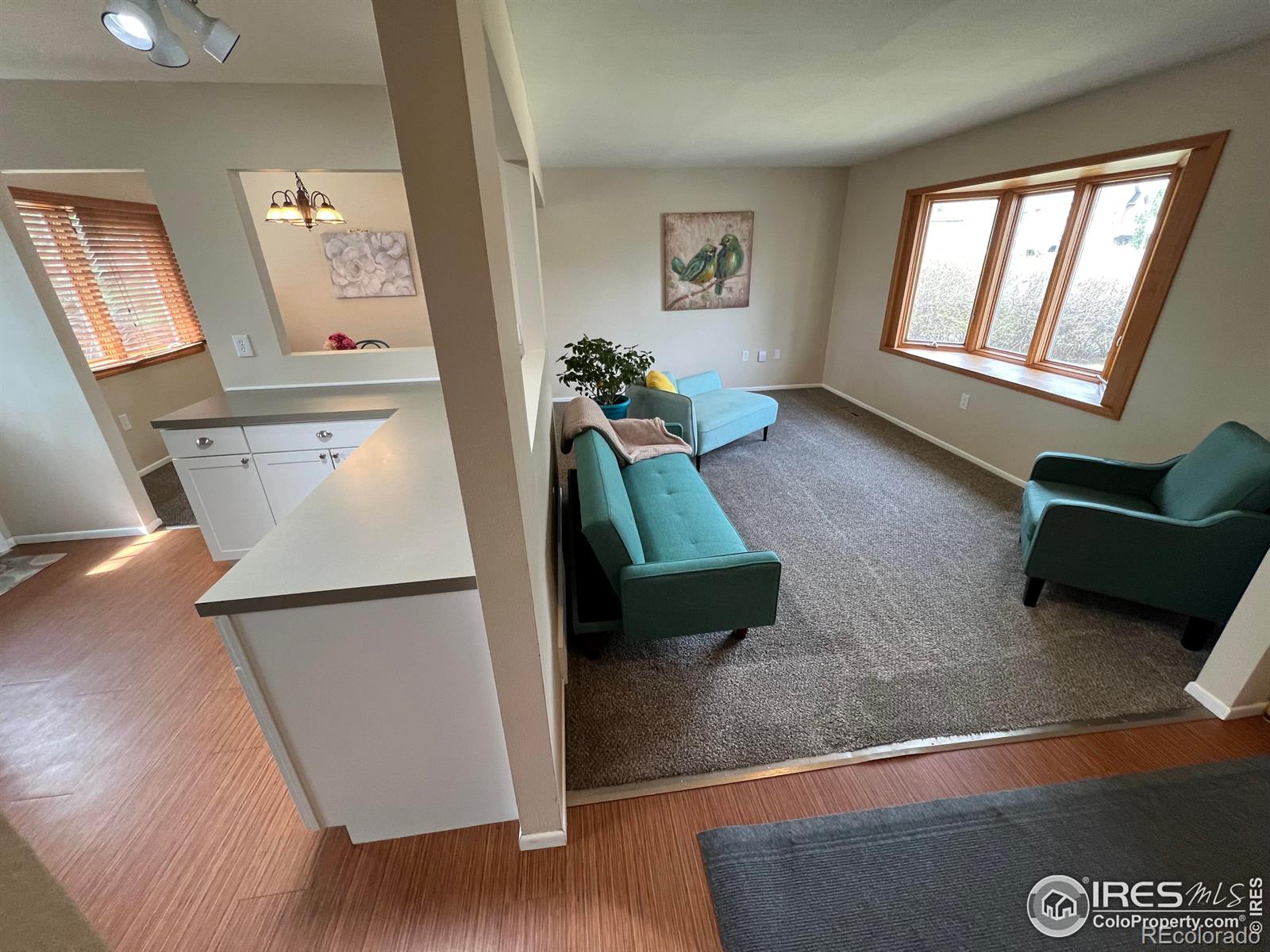 MLS Image #3 for 2409  evergreen drive,fort collins, Colorado