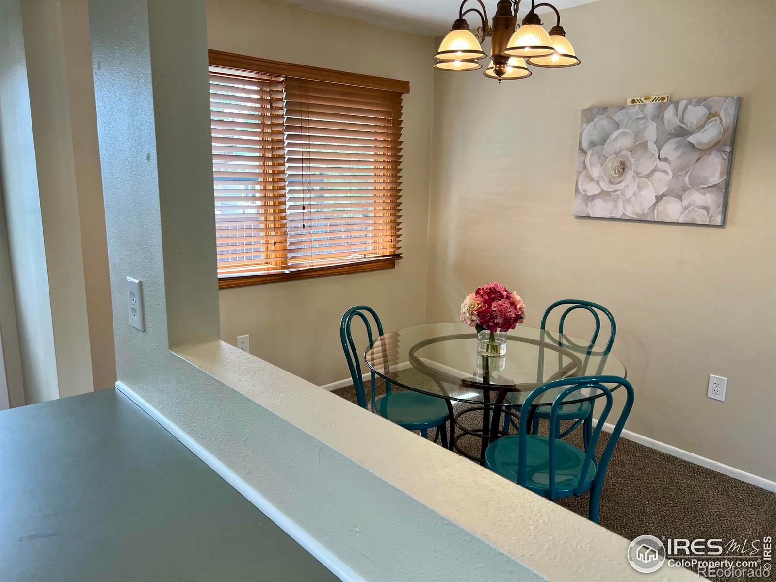 MLS Image #4 for 2409  evergreen drive,fort collins, Colorado