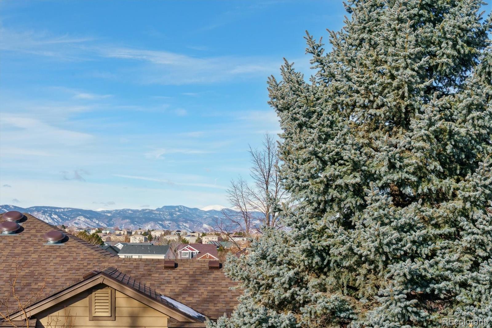 MLS Image #18 for 10103  meadowbriar lane,highlands ranch, Colorado