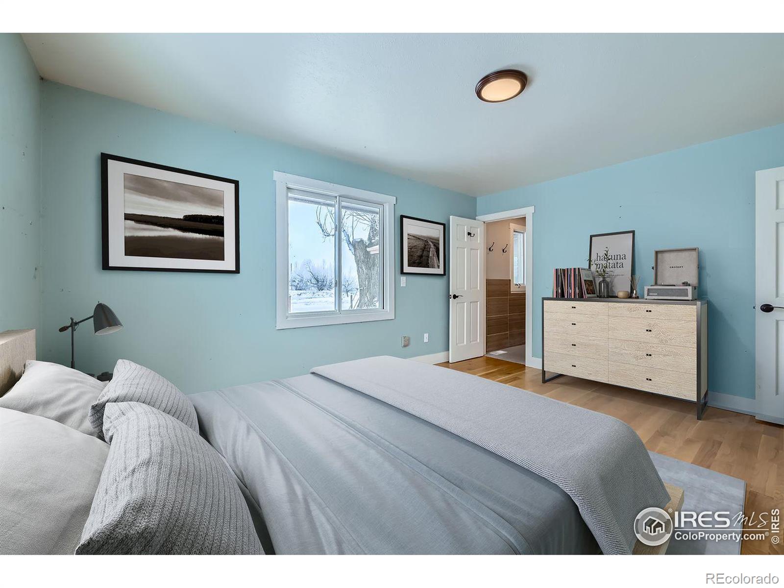 MLS Image #12 for 10075 n 75th street,longmont, Colorado