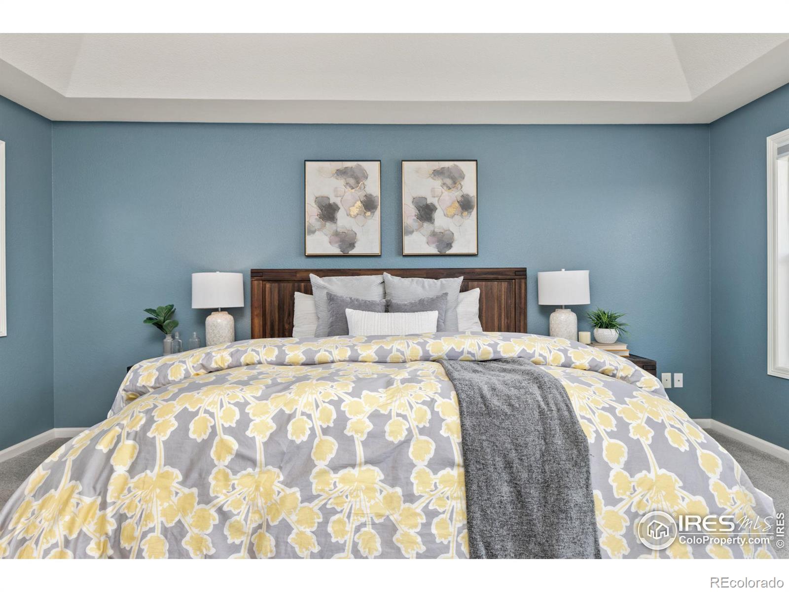 MLS Image #12 for 8275  sand dollar drive,windsor, Colorado