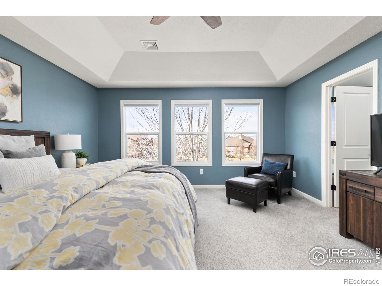MLS Image #13 for 8275  sand dollar drive,windsor, Colorado