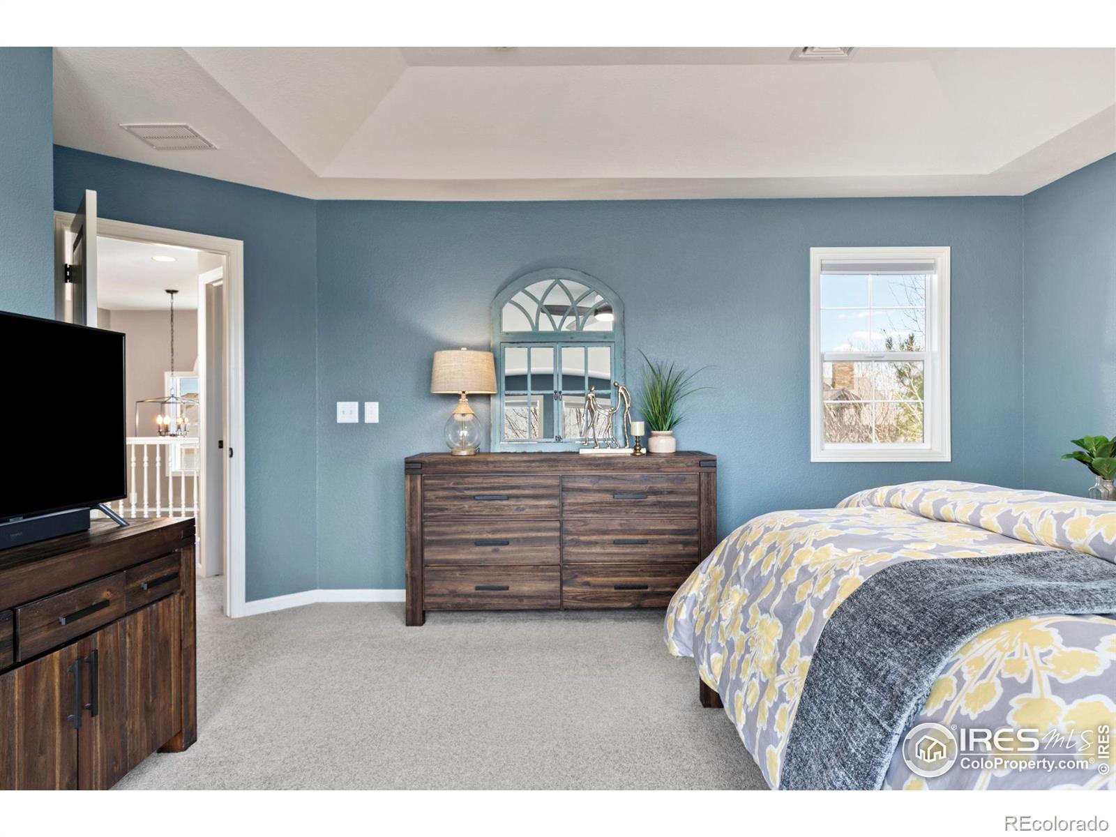 MLS Image #15 for 8275  sand dollar drive,windsor, Colorado
