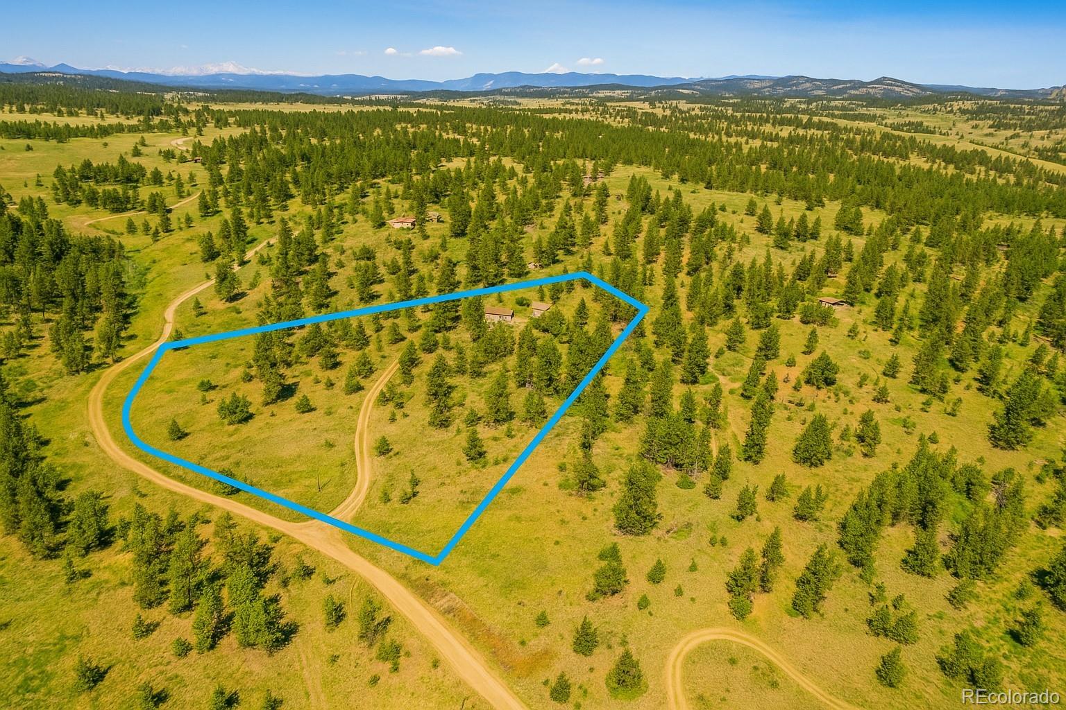 MLS Image #1 for 3367  badger creek road,hartsel, Colorado