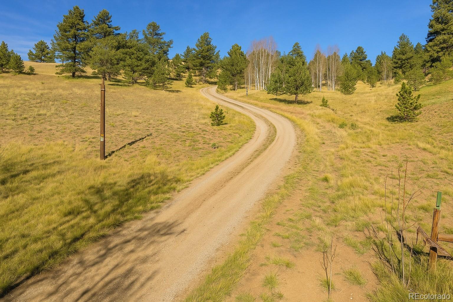 MLS Image #2 for 3367  badger creek road,hartsel, Colorado
