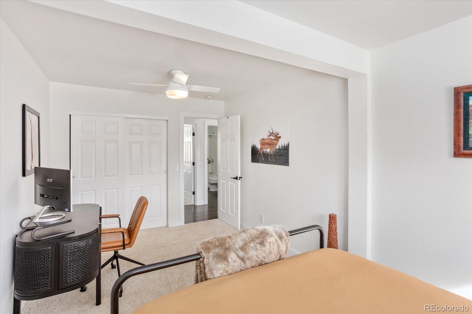 MLS Image #21 for 3367  badger creek road,hartsel, Colorado