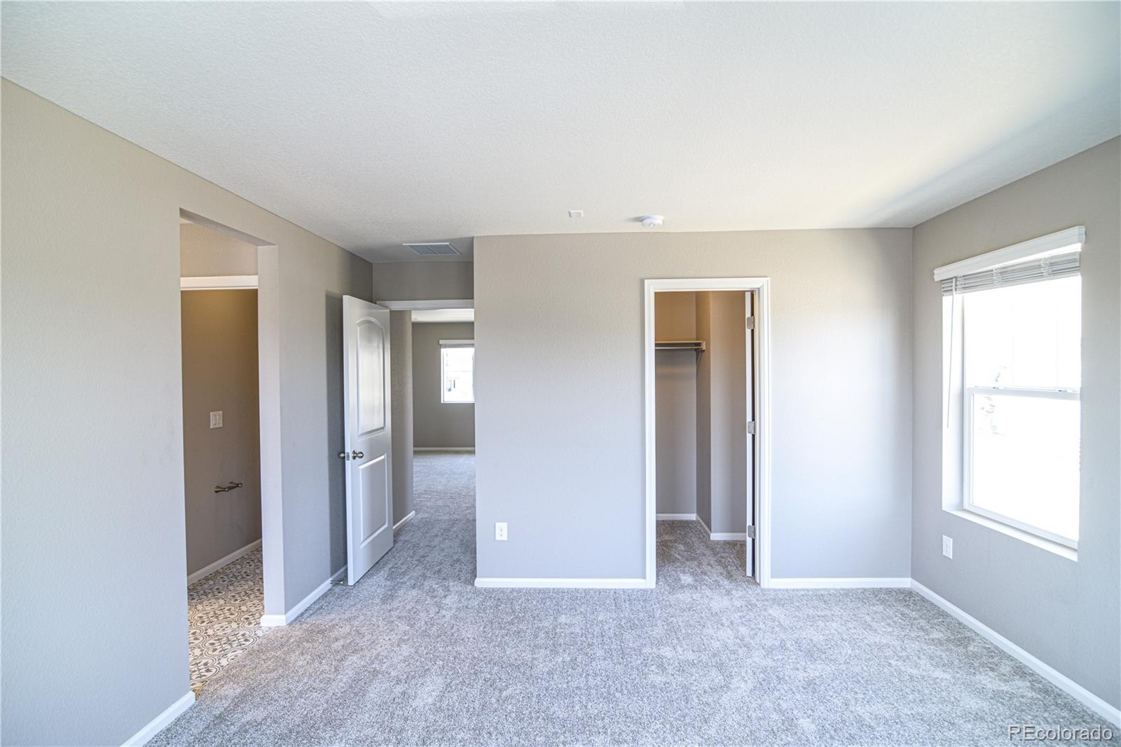 MLS Image #21 for 3427  cade court,castle rock, Colorado
