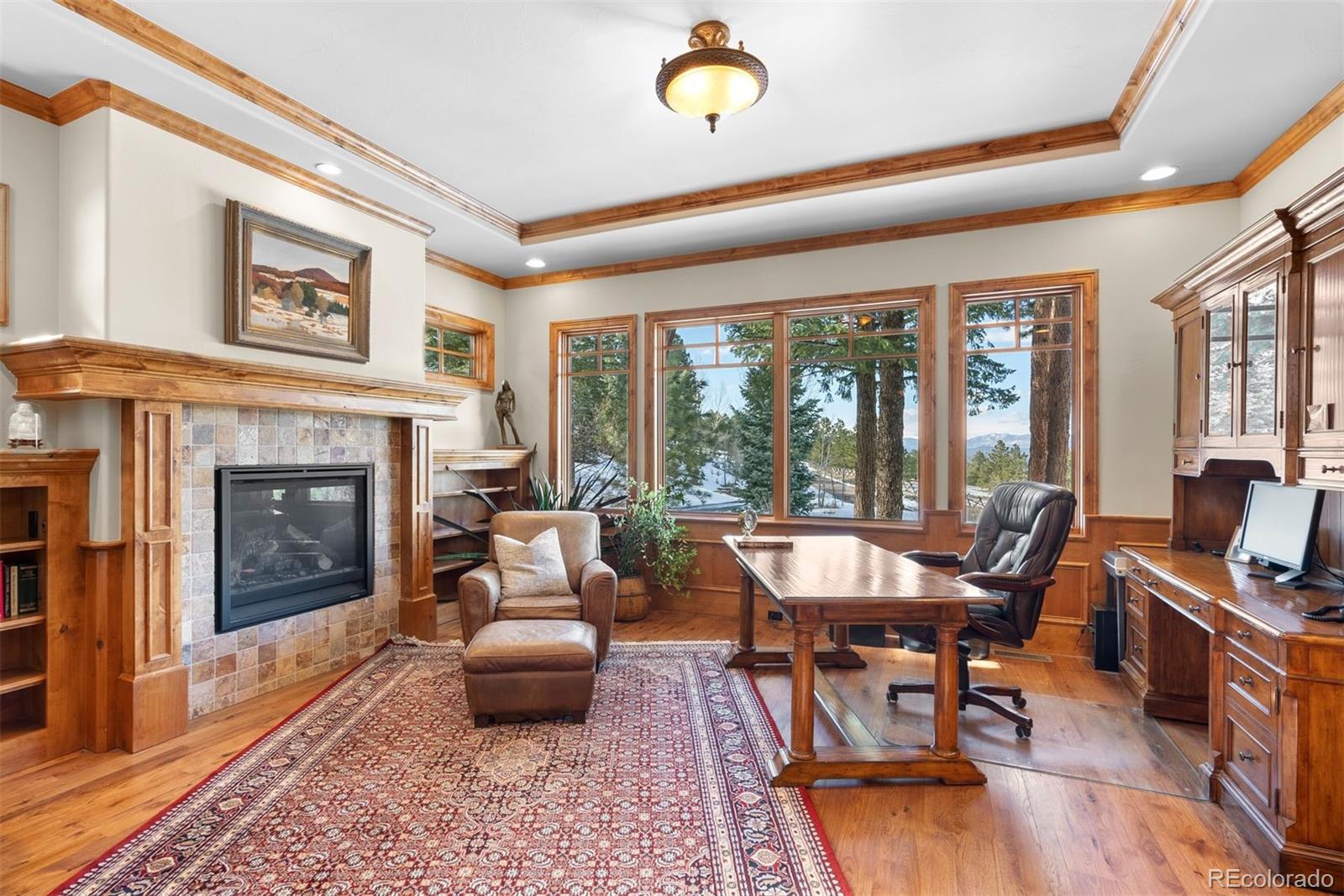 MLS Image #20 for 6169  flat creek drive,evergreen, Colorado