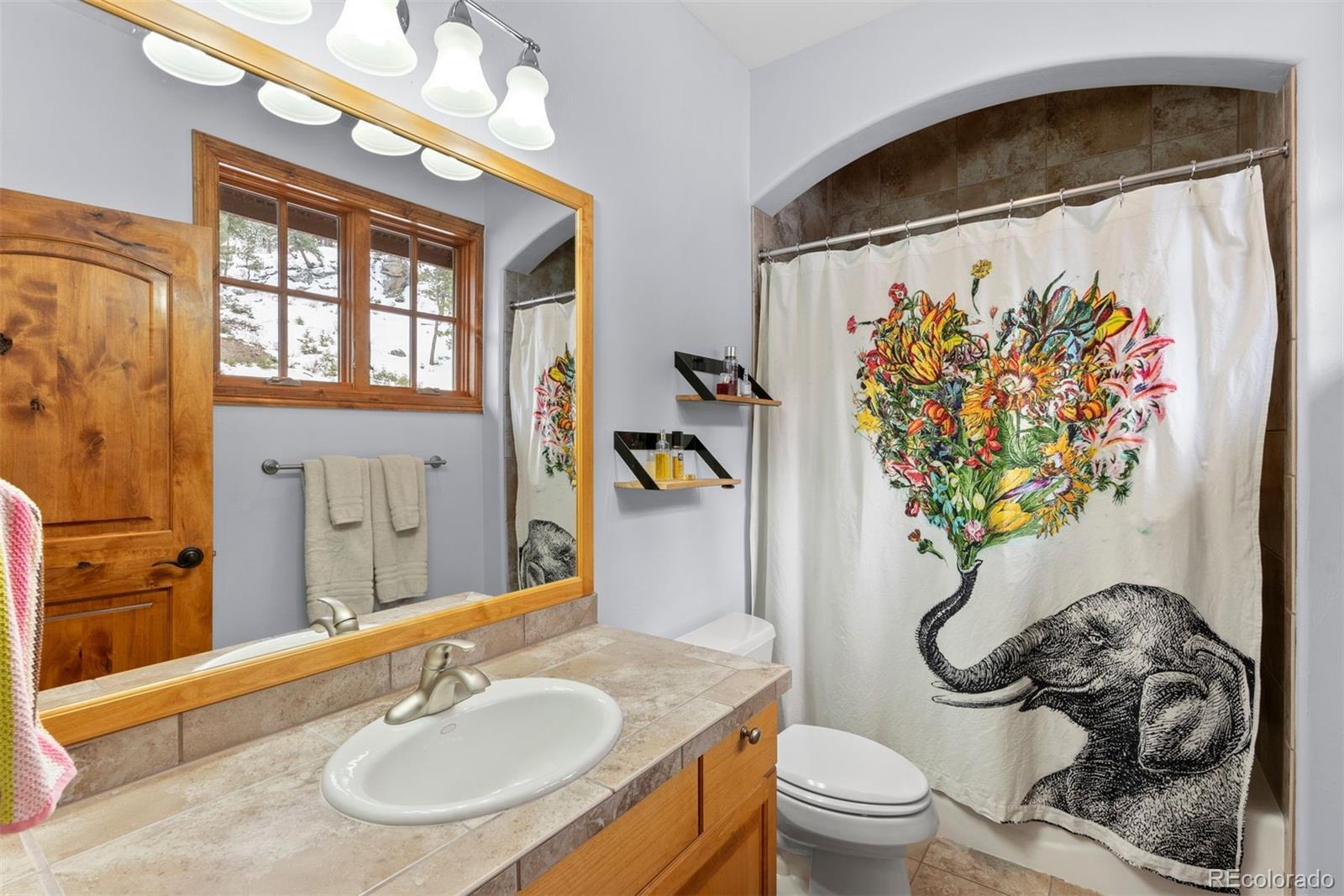 MLS Image #32 for 6169  flat creek drive,evergreen, Colorado