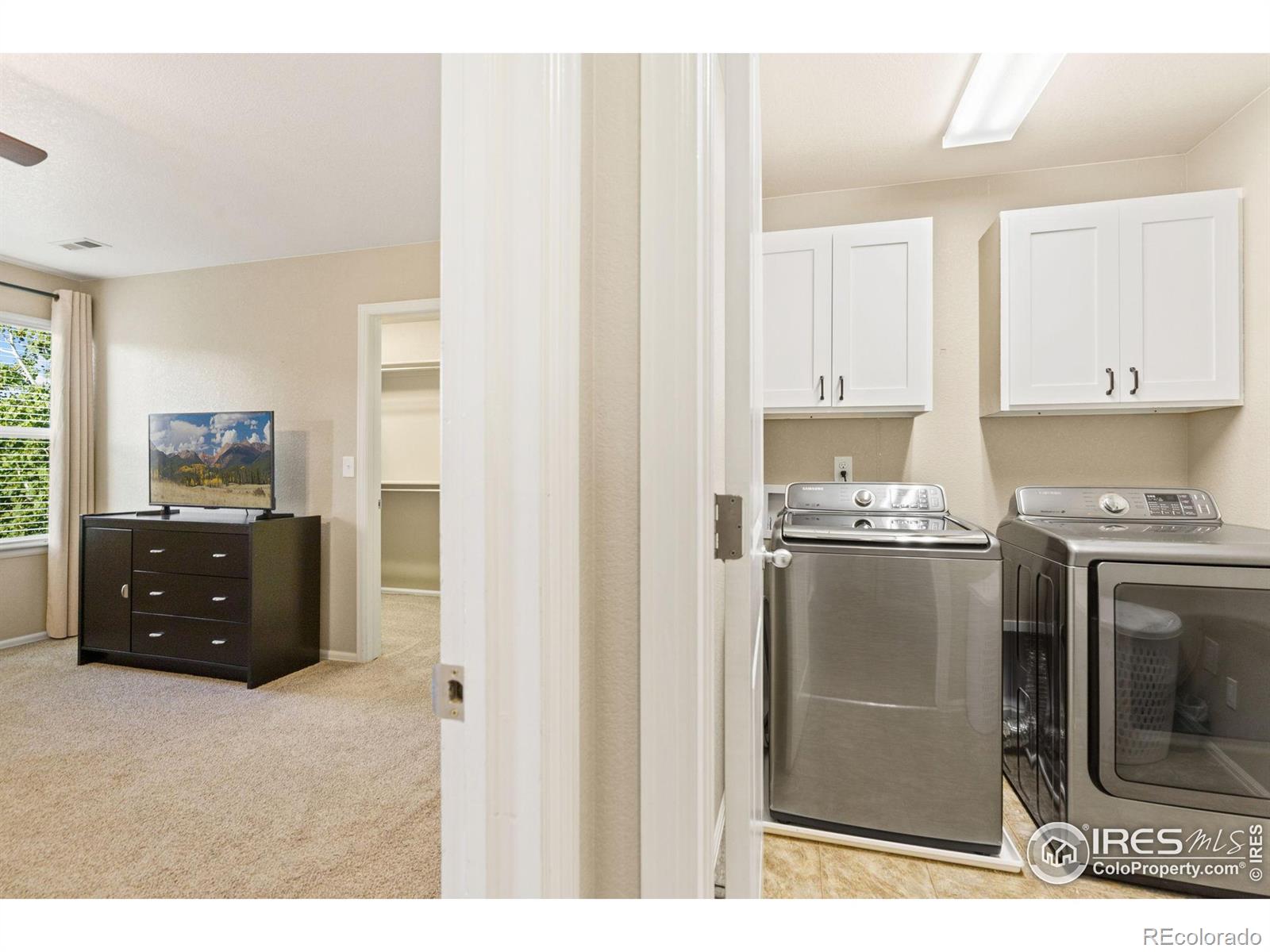 MLS Image #27 for 1546  edenbridge drive,windsor, Colorado